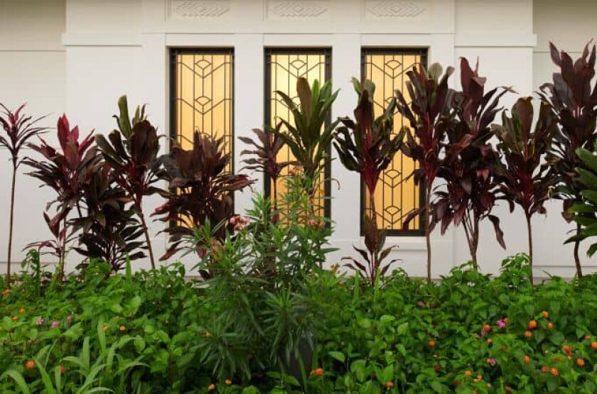 Exterior windows of the Kinshasa Democratic Republic of the Congo Temple.